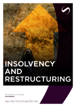 SCHINDHELM_BF_2024-11_EN_Insolvency-and-Restructuring.pdf