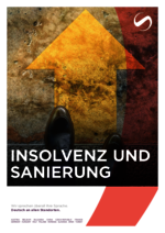 SCHINDHELM_BF_2024-04_DE_Insolvenz-und-Sanierung.pdf