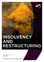 SCHINDHELM_BF_2024-04_EN_Insolvency-and-Restructuring.pdf