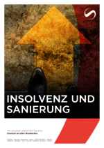 SCHINDHELM_BF_2024-11_DE_Insolvenz-und-Sanierung.pdf