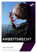 SCHINDHELM_BF_2026-02_DE_Arbeitsrecht.pdf